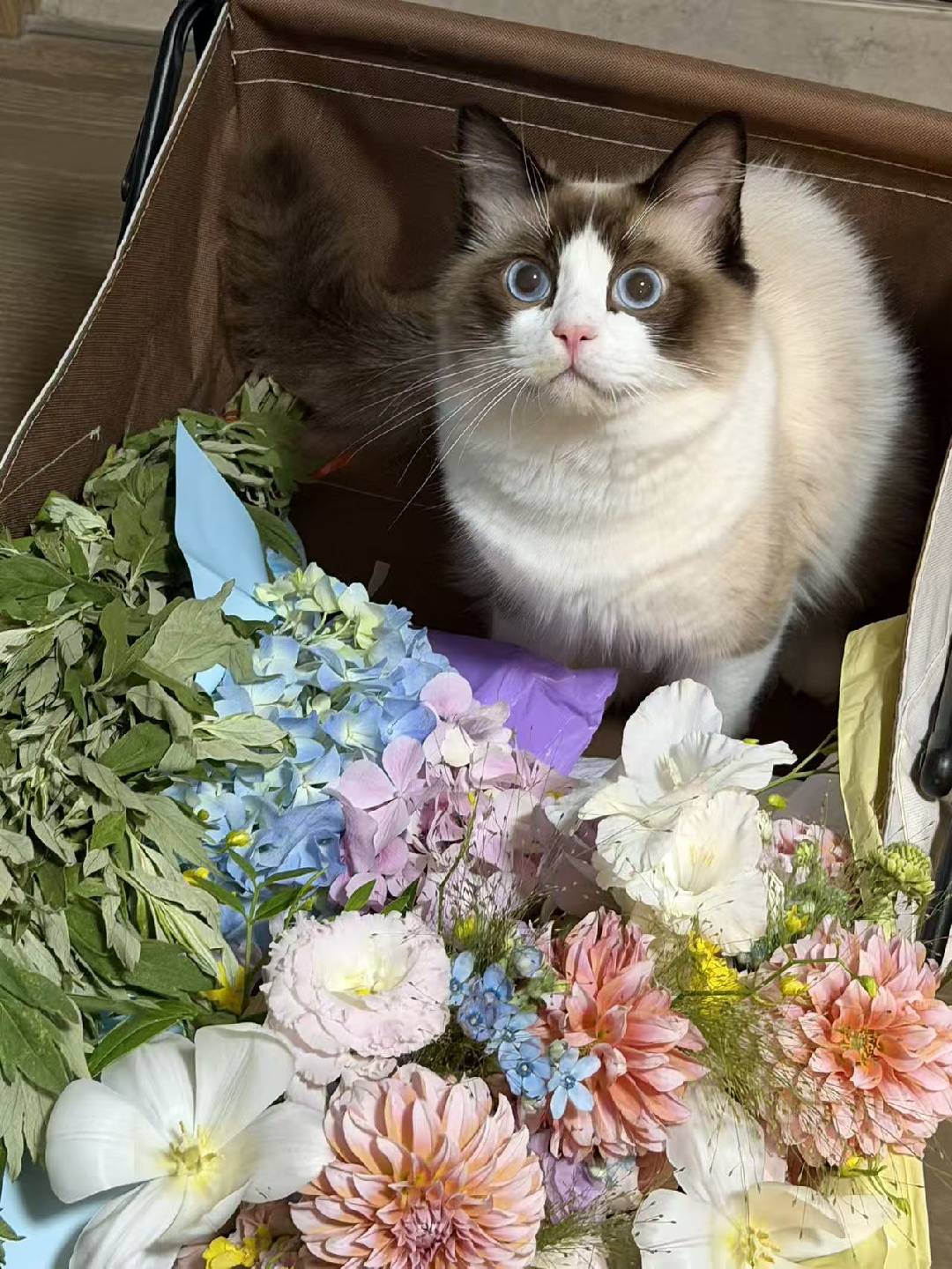 花篮